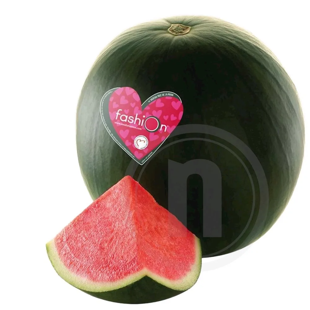 Vandmelon Fashion®