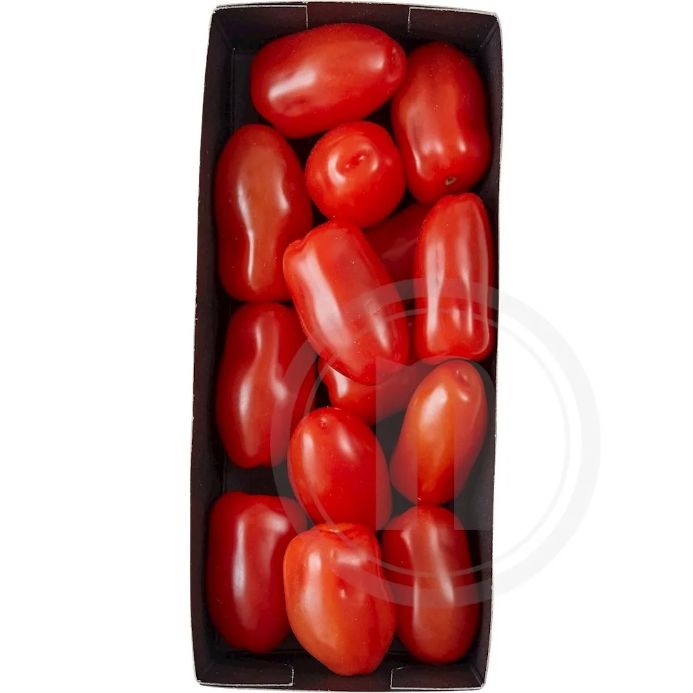 San Marzano tomater øko.